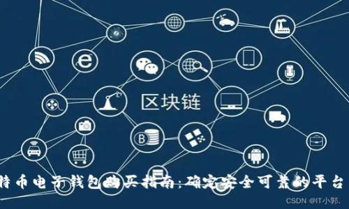 2023年比特币电子钱包购买指南：确定安全可靠的平台与最佳选项