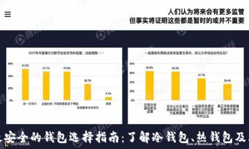   
比特币最安全的钱包选择指南：了解冷钱包、热钱包及其优缺点