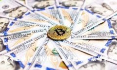 深入探索区块链与轻钱包：未来数字金