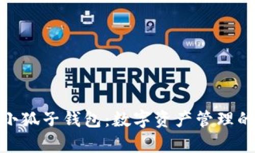 全面解析小狐子钱包：数字资产管理的未来之选