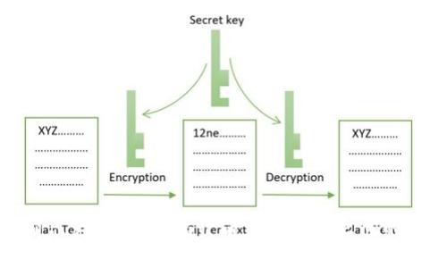 狐狸卖萌只为偷钱包：揭开萌宠与人性之间的趣味互动