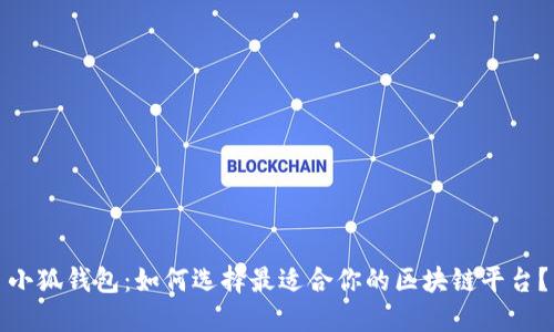 小狐钱包:如何选择最适合你的区块链平台?