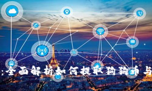 小狐钱包：全面解析如何提取狗狗币与最佳实践