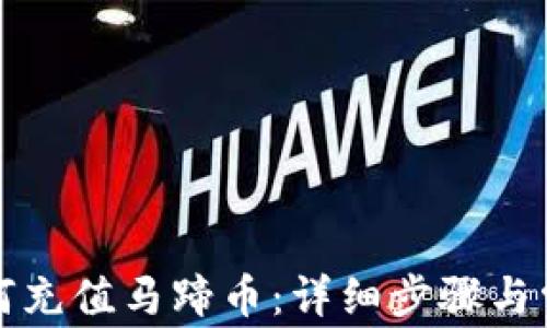 
小狐钱包如何充值马蹄币：详细步骤与常见问题解析