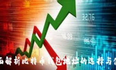   全面解析比特币钱包地址的选择与使