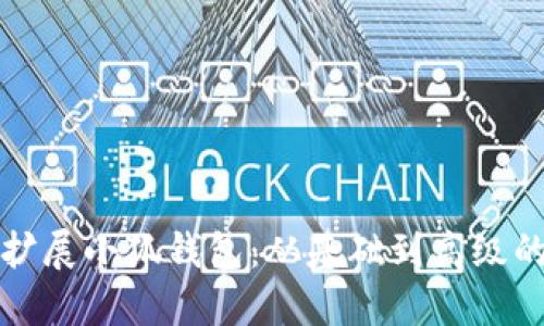 如何高效扩展小狐钱包：从基础到高级的全面指南